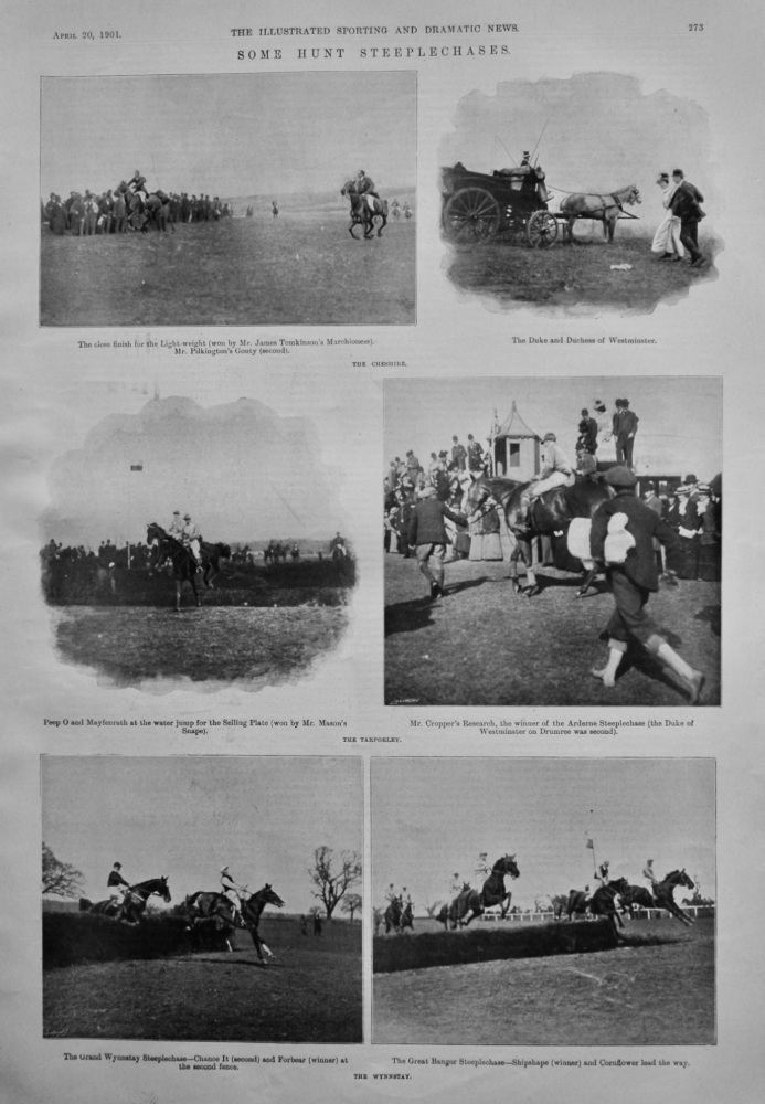 Some Hunt Steeplechases.  1901.