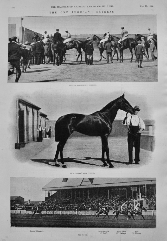 The One Thousand Guineas.  1901.