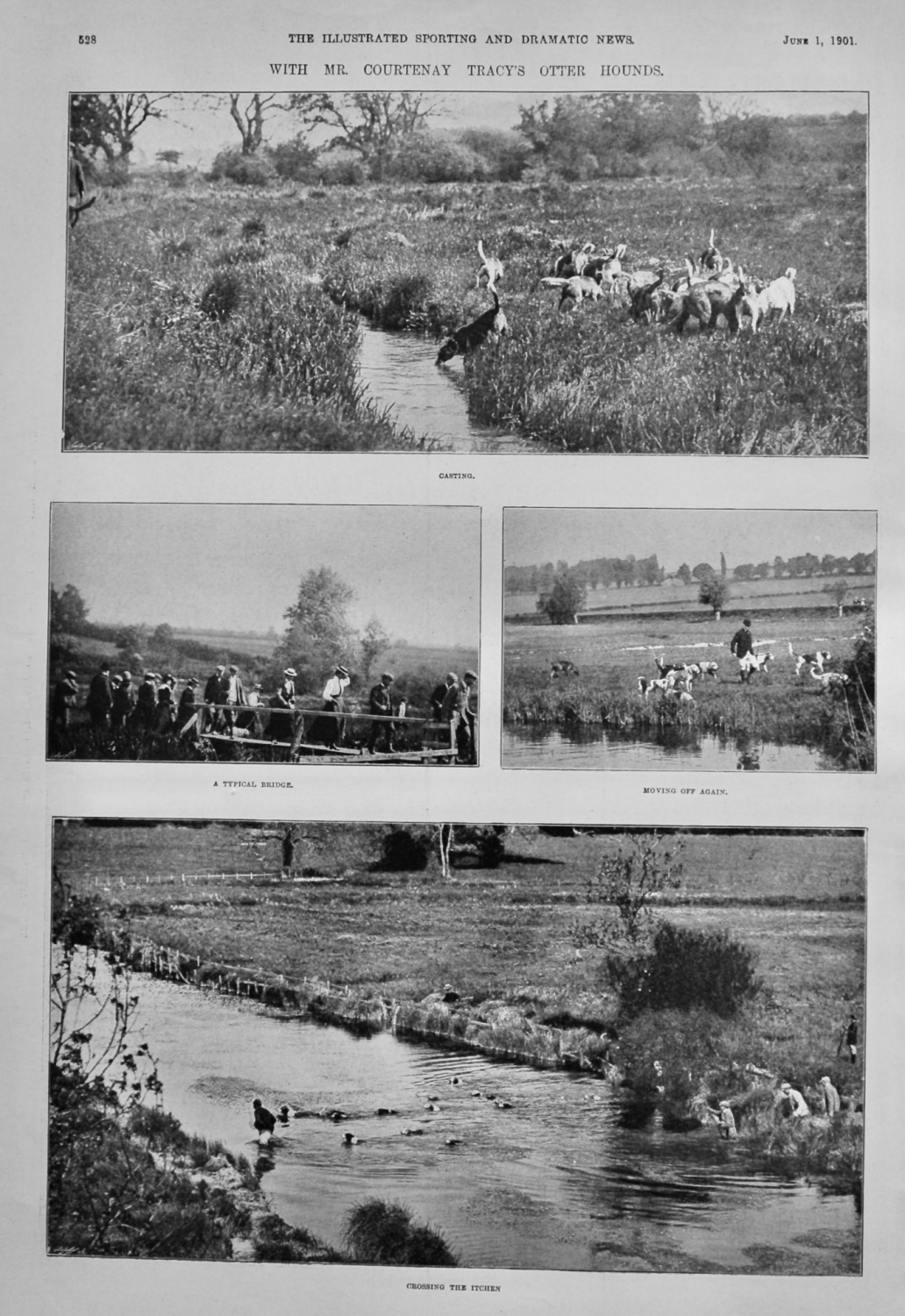 With Mr. Courtenay Tracy's Otter Hounds.  1901.