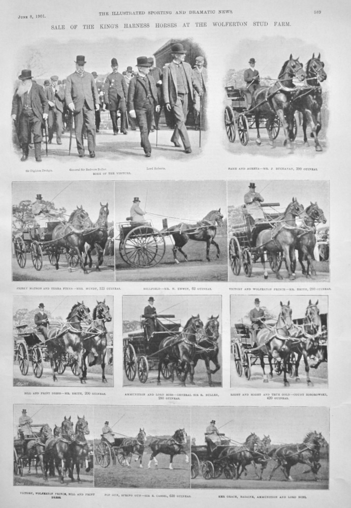 Sale of the King's Harness Horses at the Wolferton Stud Farm.  1901.