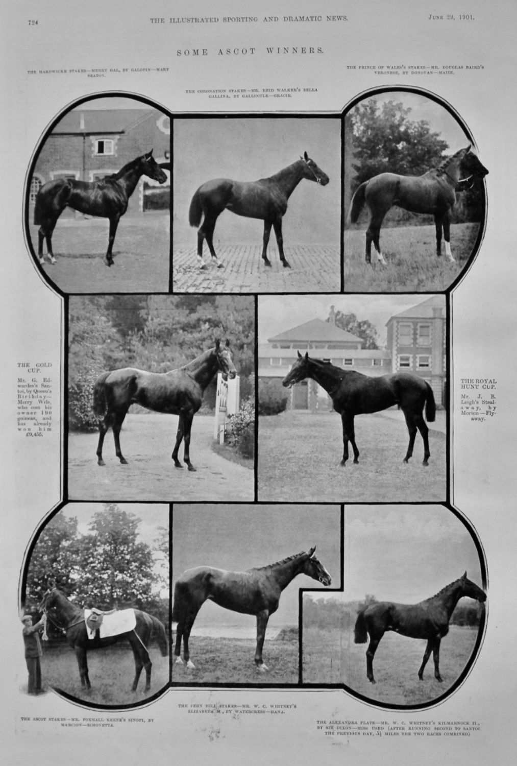 Some Ascot Winners.  1901.