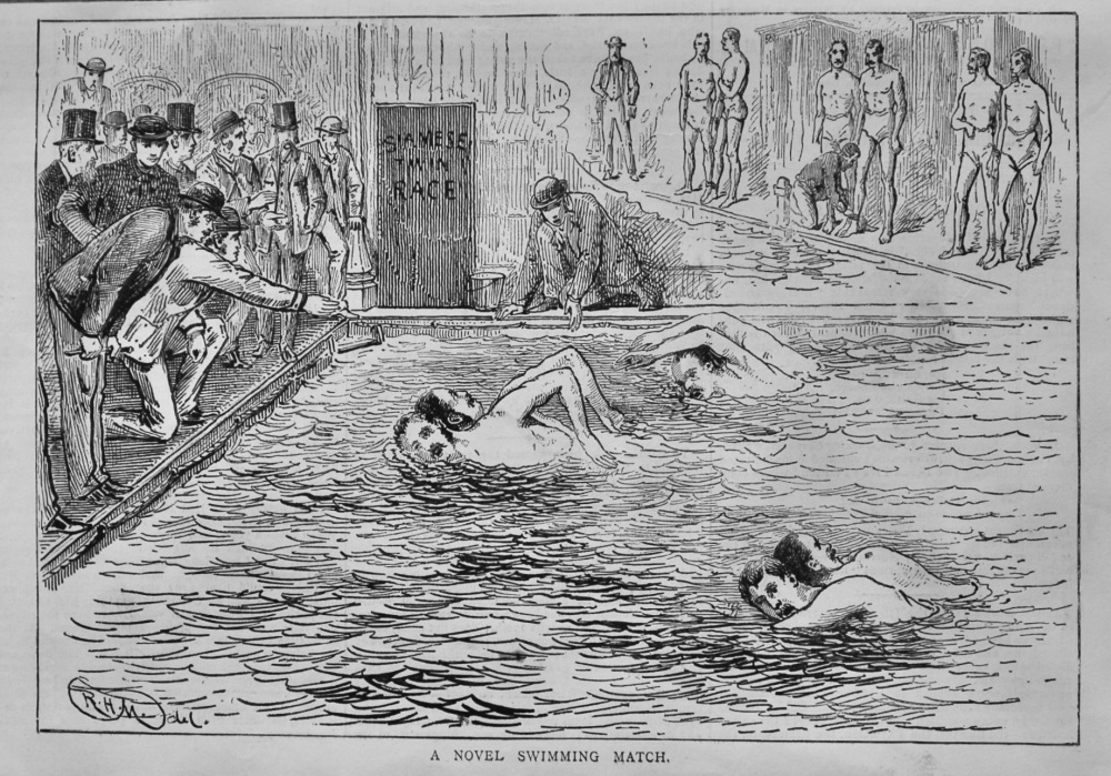 A Novel Swimming Match.  1878.