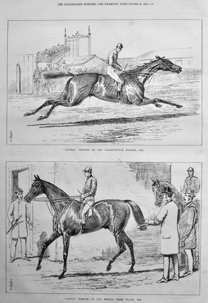 "Jester," Winner of the Cesarewitch Stakes, 1878.  &  "Peter," Winner of the Middle Park Plate,  1878.