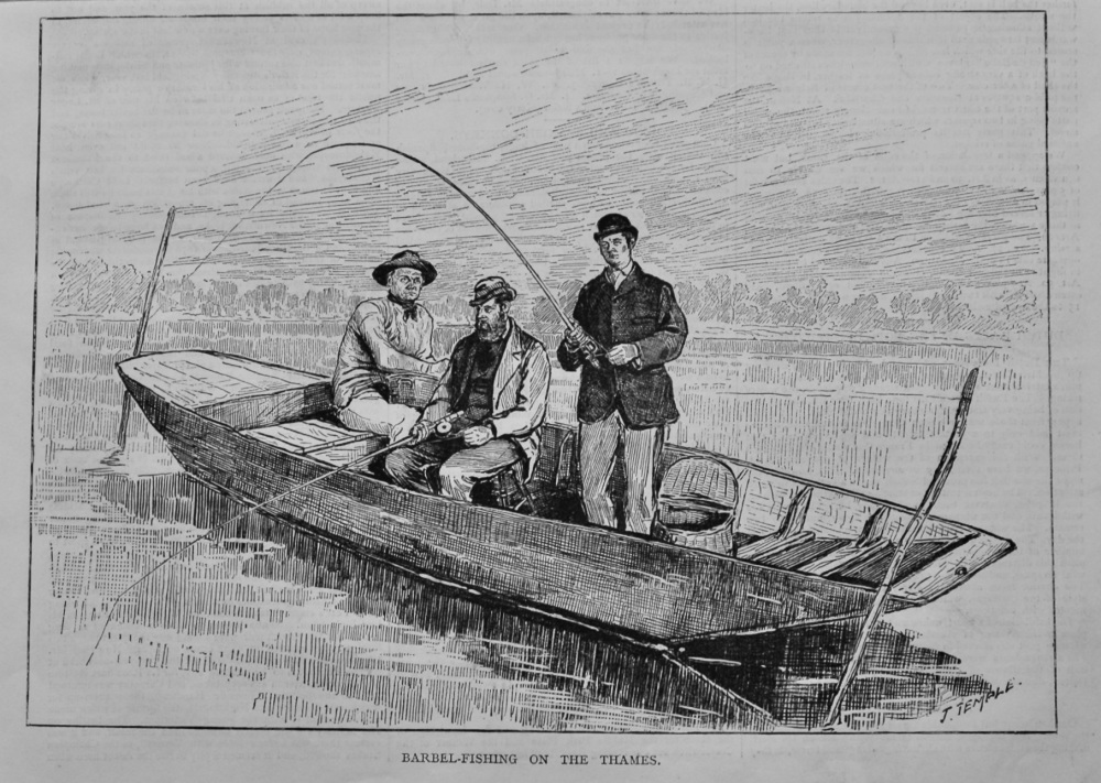 Barbel-Fishing on the Thames.  1878.