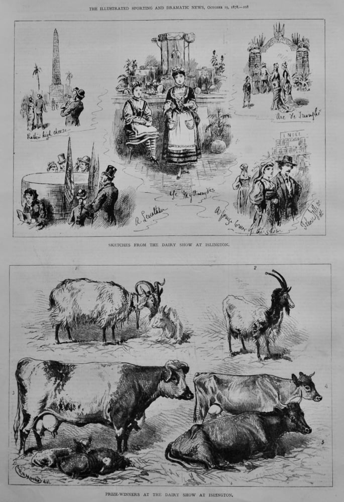 Dairy Show at Islington.  1878.