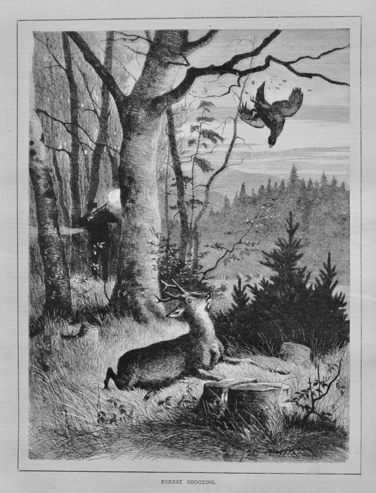 Forest Shooting.   1878.