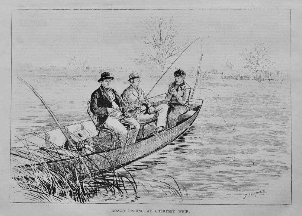 Roach Fishing at Chertsey Weir.  1878.
