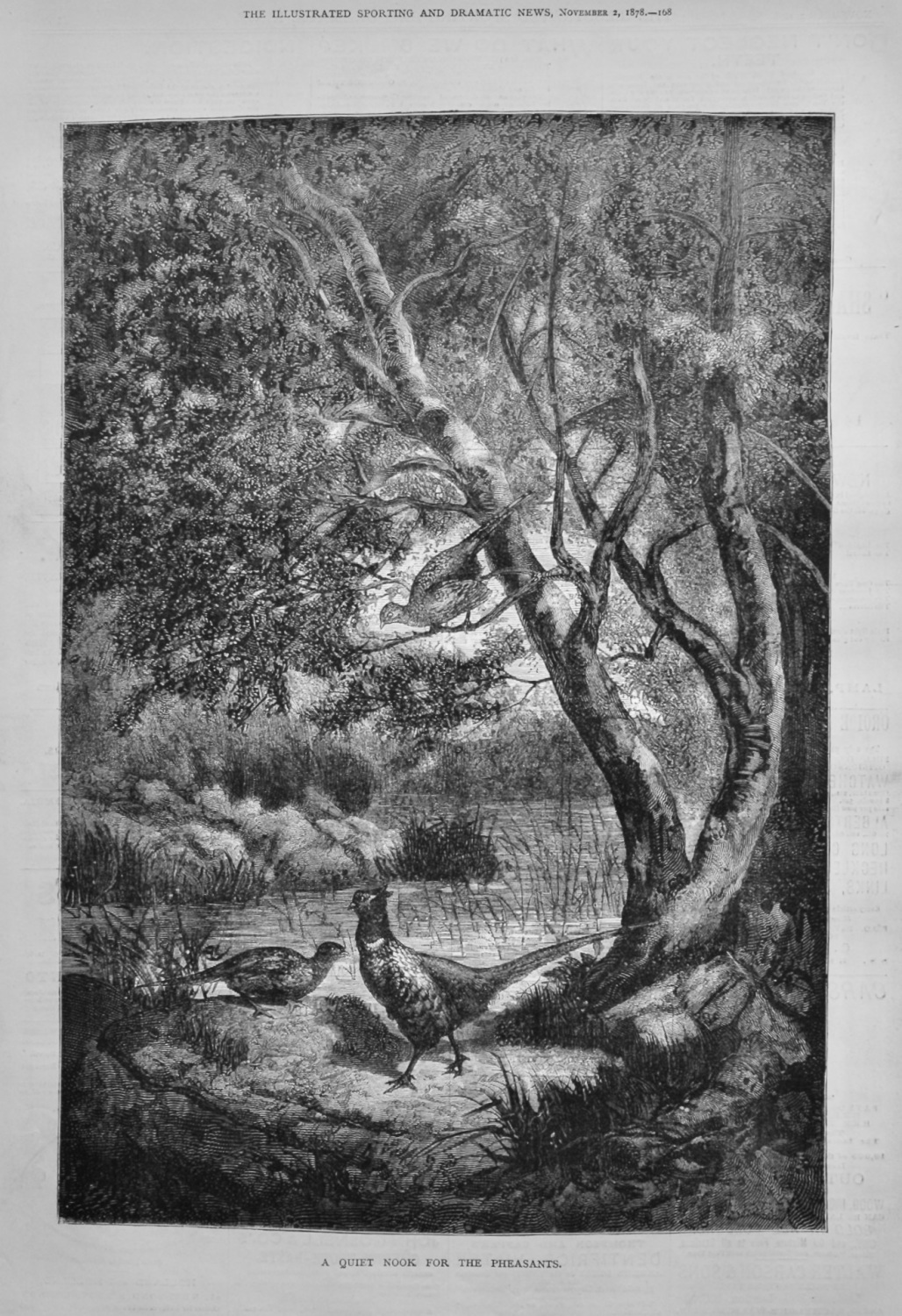 A Quiet Nook for the Pheasants.  1878.
