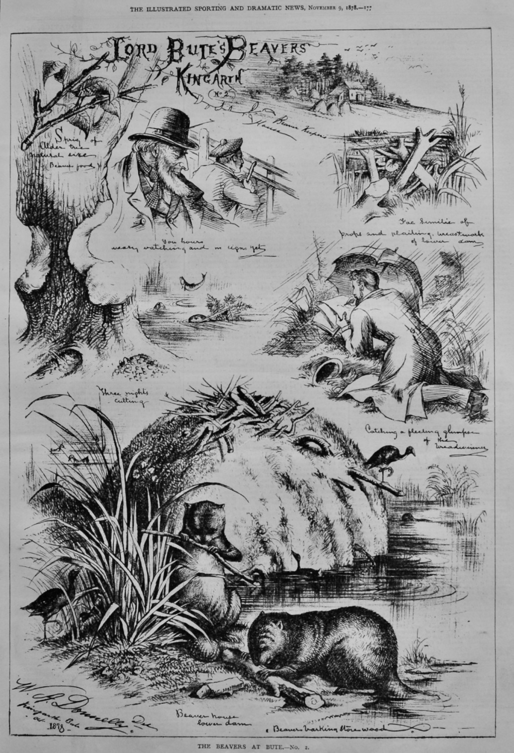 Lord Bute's Beavers Kingarth.  (No.2.)  1878.