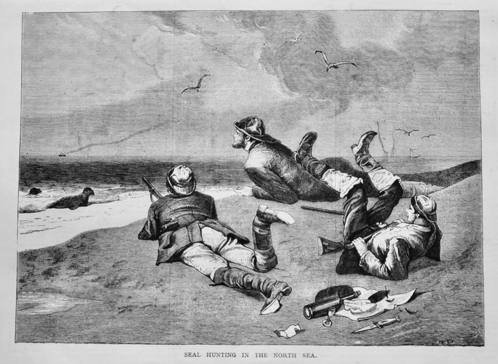 Seal Hunting in the North Sea.  1878.