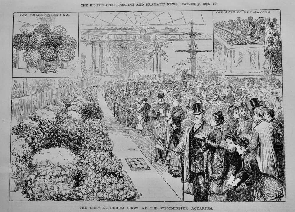 The Chrysanthemum Show at the Westminster Aquarium.  1878.
