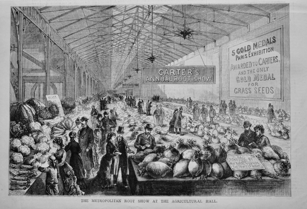 The Metropolitan Root Show at the Agricultural Hall.  1878.