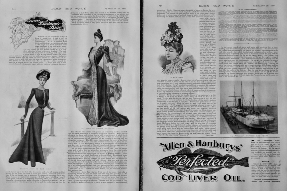 Dame Fashion's Diary.  February 25th. 1899.