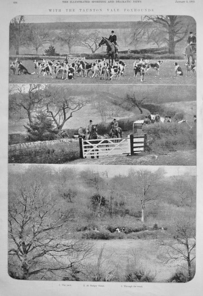 With the Taunton Vale Foxhounds.  