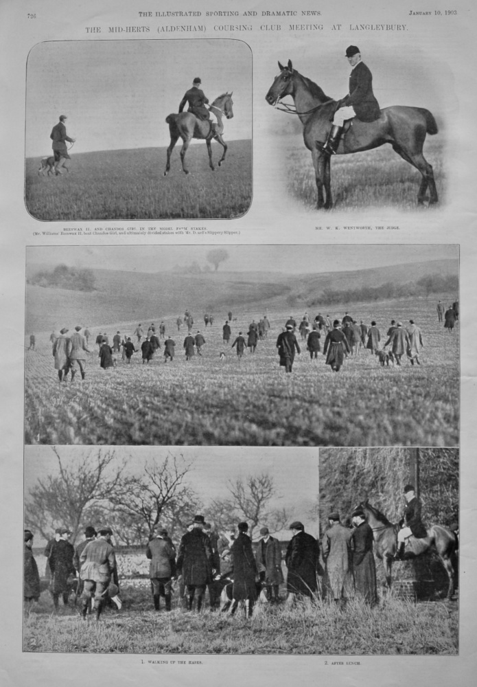 The Mid-Herts (Aldenham) Coursing Club Meeting at Langleybury.  1903.