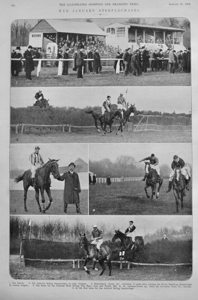 Wye January Steeplechases. 1903.