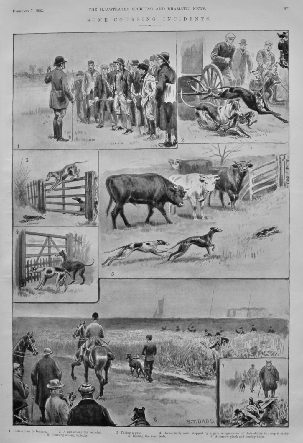 Come Coursing Incidents.  1903.