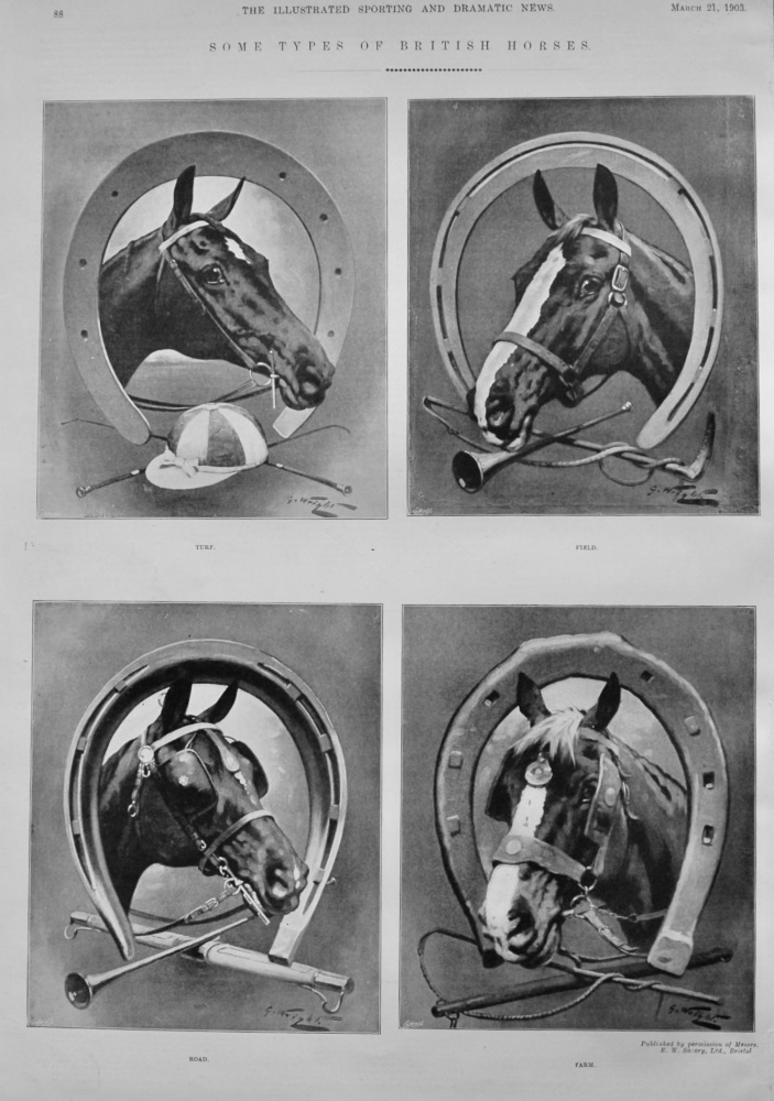Some Types of British Horses.  1903.