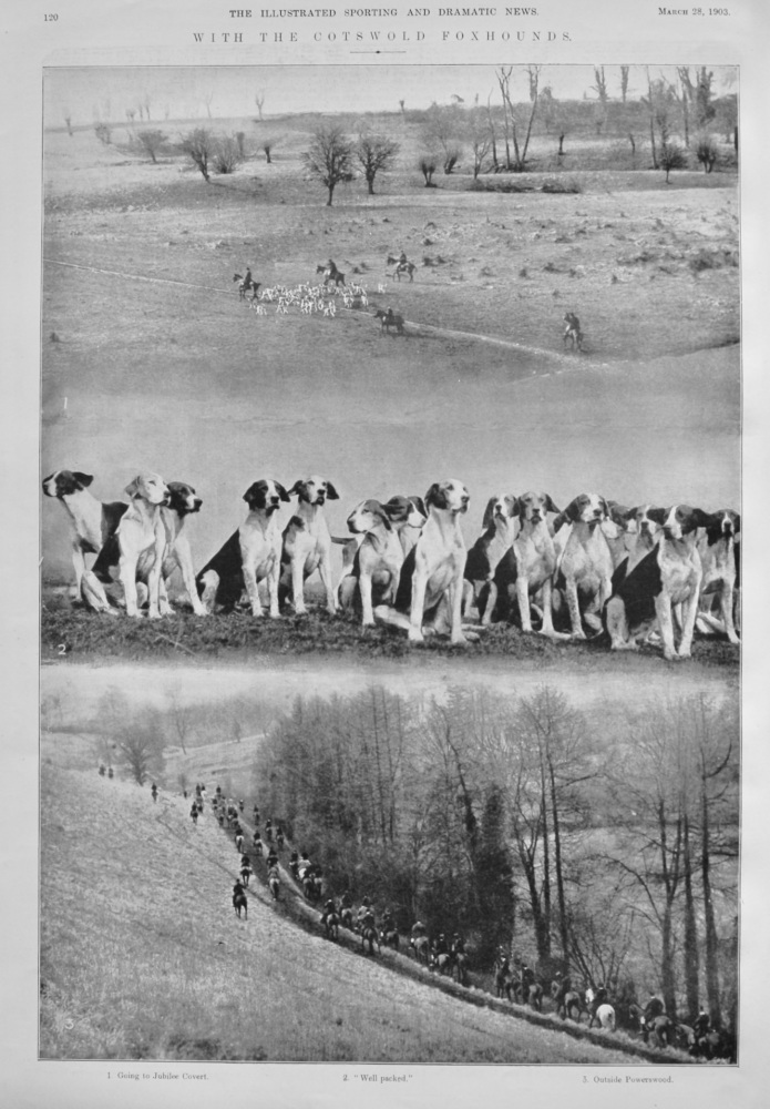 With the Cotswold Foxhounds.  1903.