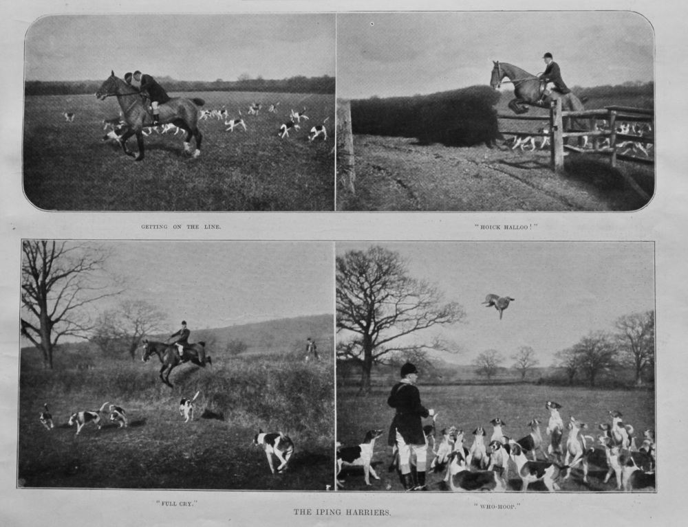 The Iping Harriers.  1903.