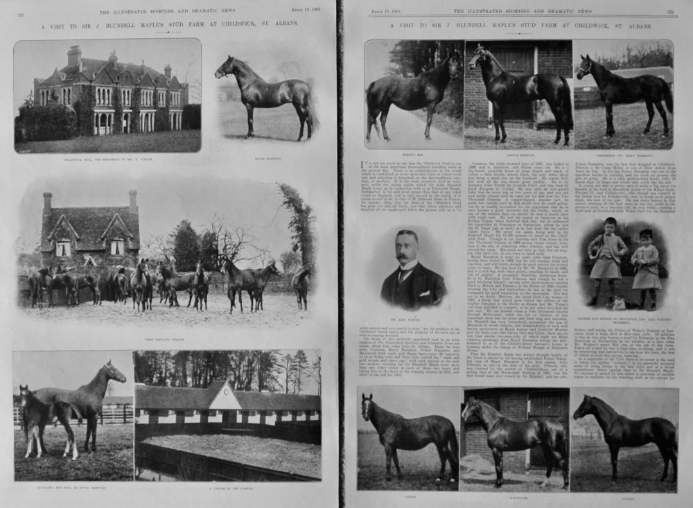 A visit to Sir J. Blundell Maple's Stud Farm at Childwick, St Albans.  1903