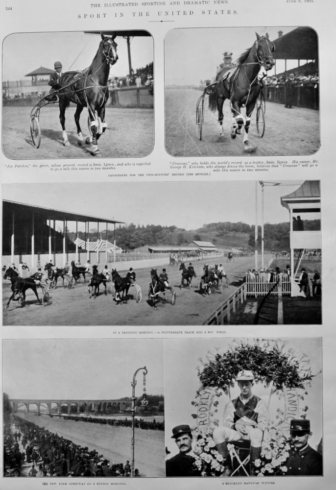 Sport in the United States.  1903. (Trotting)