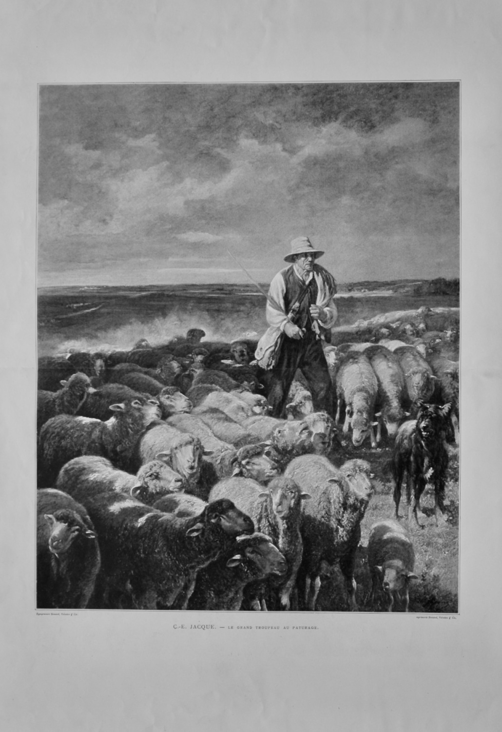 C.-E.  Jacque.  -  Le Grand Troupeau Au Pâturage.   1888.