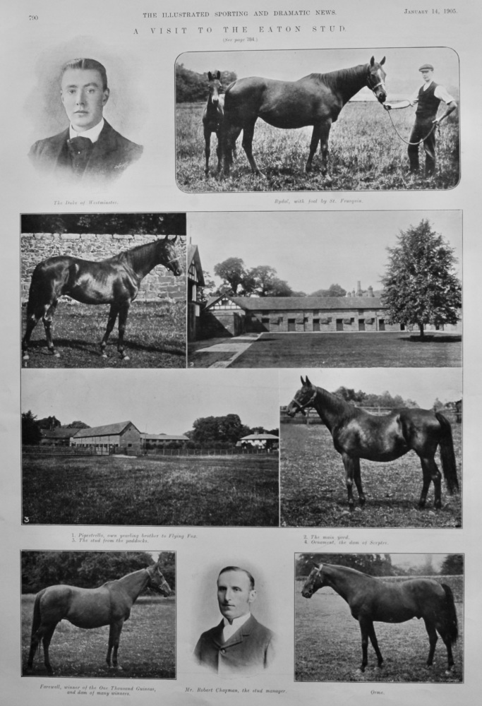 A Visit to the Eaton Stud.  1905.