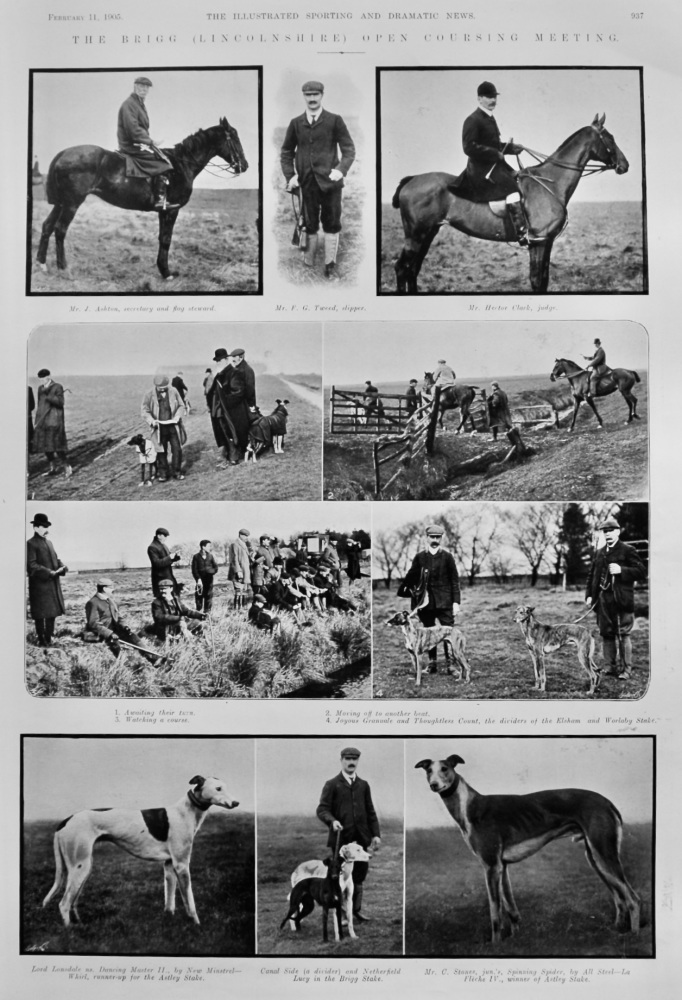 The Brigg (Lincolnshire) Open Coursing Meeting.  1905.