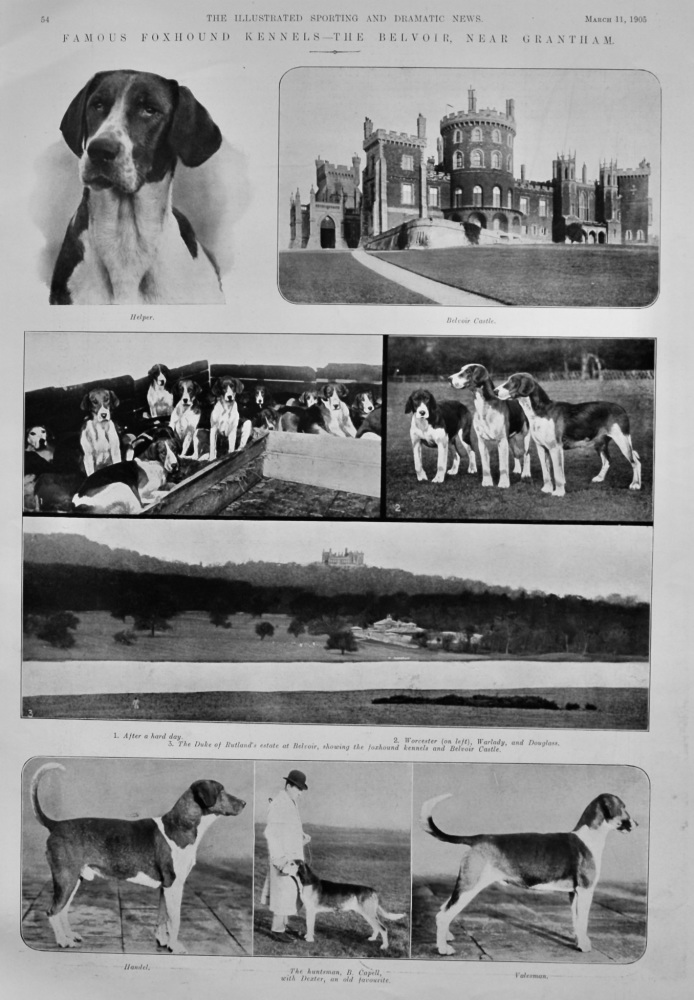 Famous Foxhound Kennels.- The Belvoir, near Grantham.  1905.