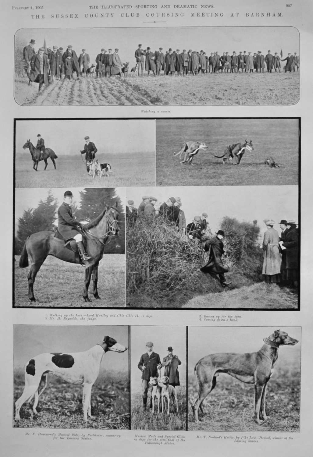 The Sussex County Club Coursing Meeting at Burnham.  1905.