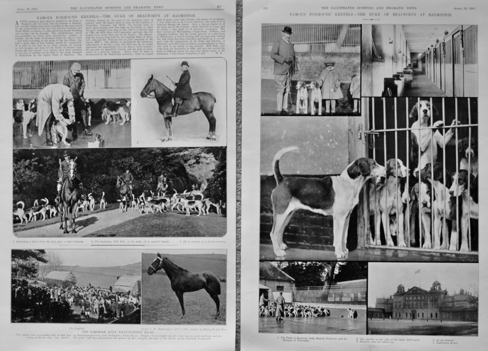 Famous Foxhound Kennels.- The Duke of Beaufort's at Badminton.  1905.