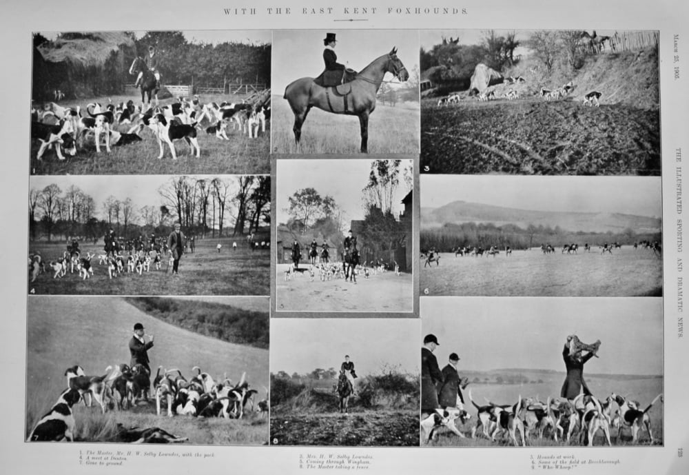 With the East Kent Foxhounds.  1905.