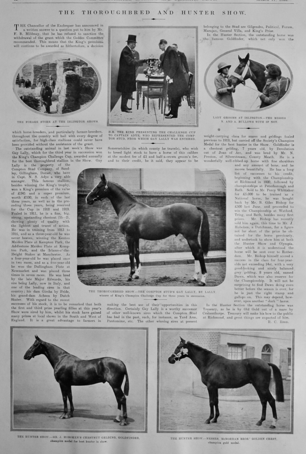 The Thoroughbred and Hunter Show.  1922. (Islington)