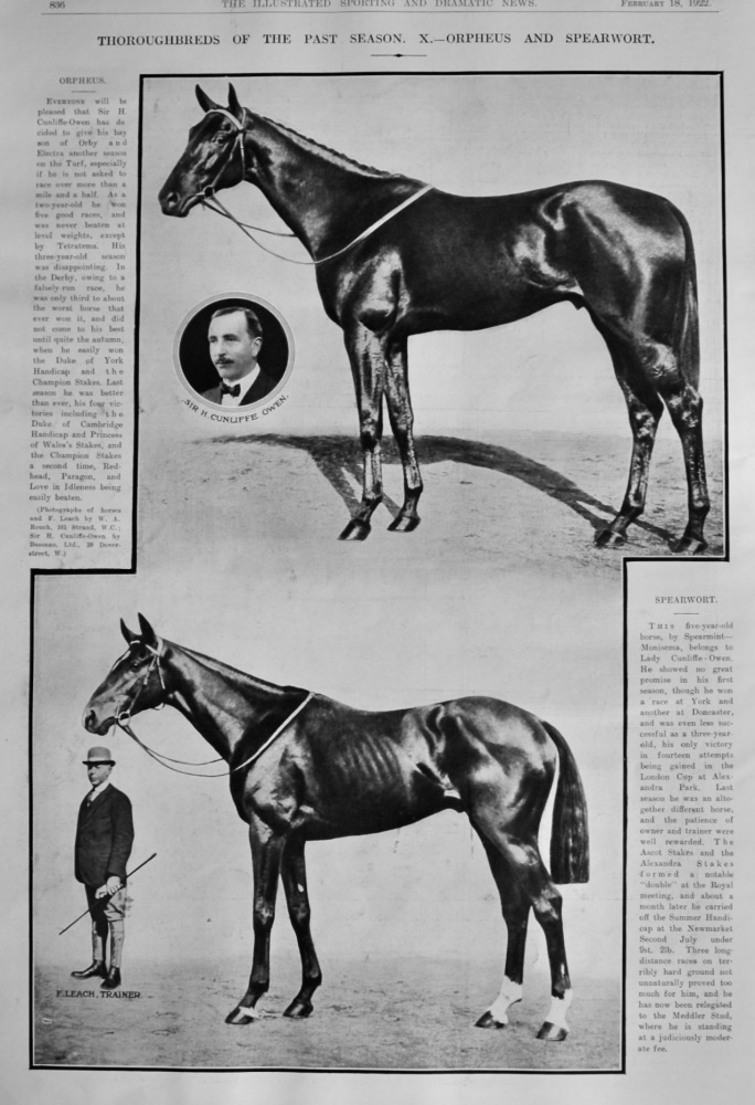 Thoroughbreds of the Past Season.  X.- Orpheus and Spearwort.  1922.