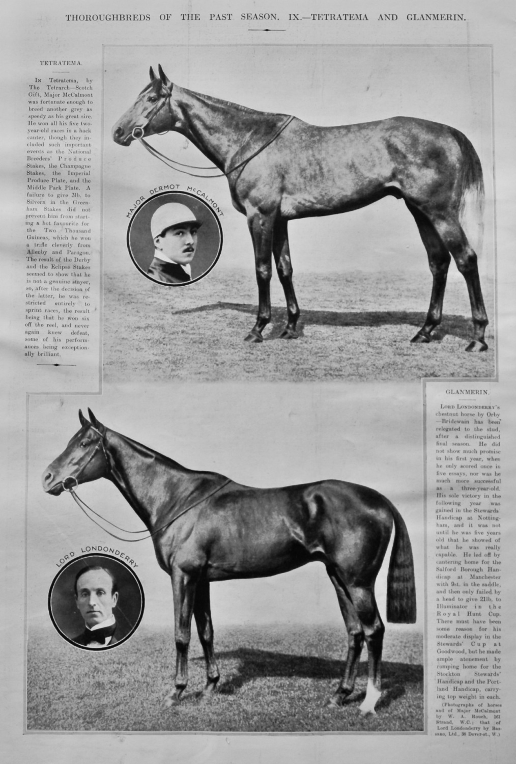 Thoroughbreds of the Past Season.  IX.- Tetratema and Glanmerin.  1922.