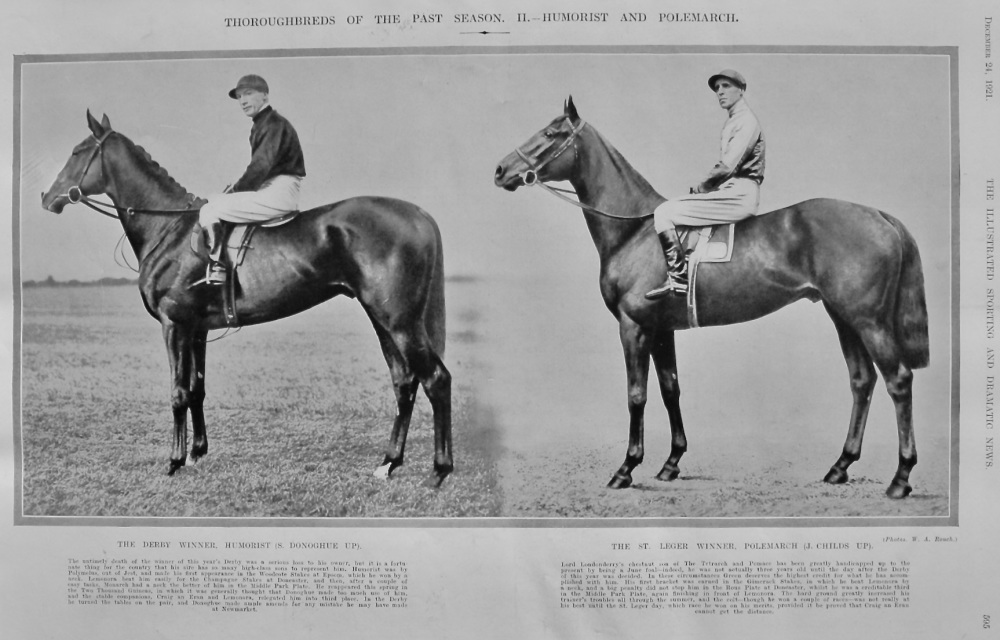 Thoroughbreds of the Past Season.  II.- Humorist and Polemarch.  1921.