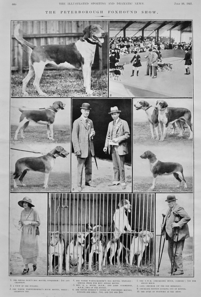 The Peterborough Foxhound Show.  1921.
