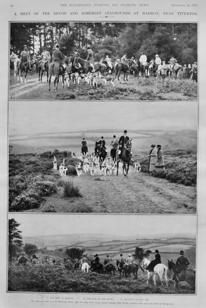 A Meet of the Devon and Somerset Staghounds at Haddon, near Tiverton.  1921.