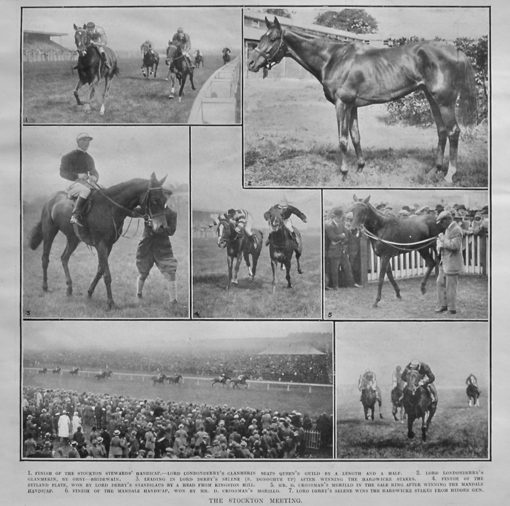 The Stockton Meeting  1921.  (Horseracing).