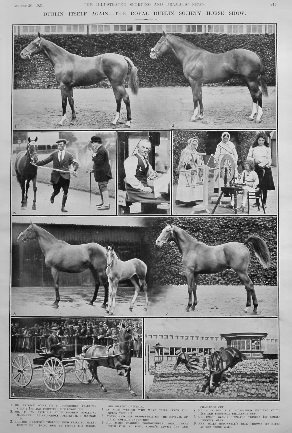 Dublin Itself Again.- The Royal Dublin Society Horse Show.  1921.