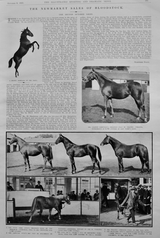 The Newmarket Sales of Bloodstock.  1921.