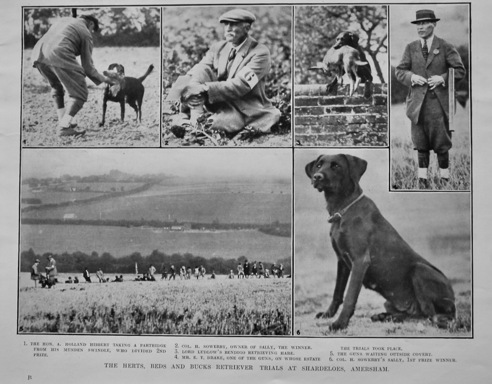 The Herts, Beds and Bucks Retriever Trials at Shardeloes, Amersham. 1921.