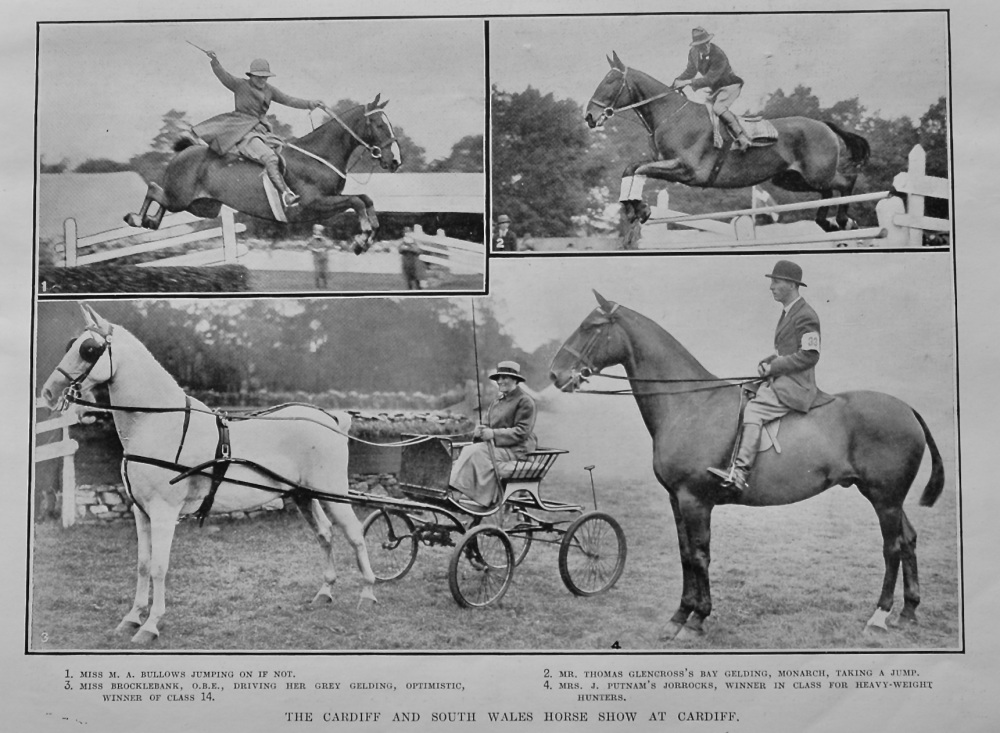 The Cardiff and South Wales Horse Show at Cardiff.  1921.