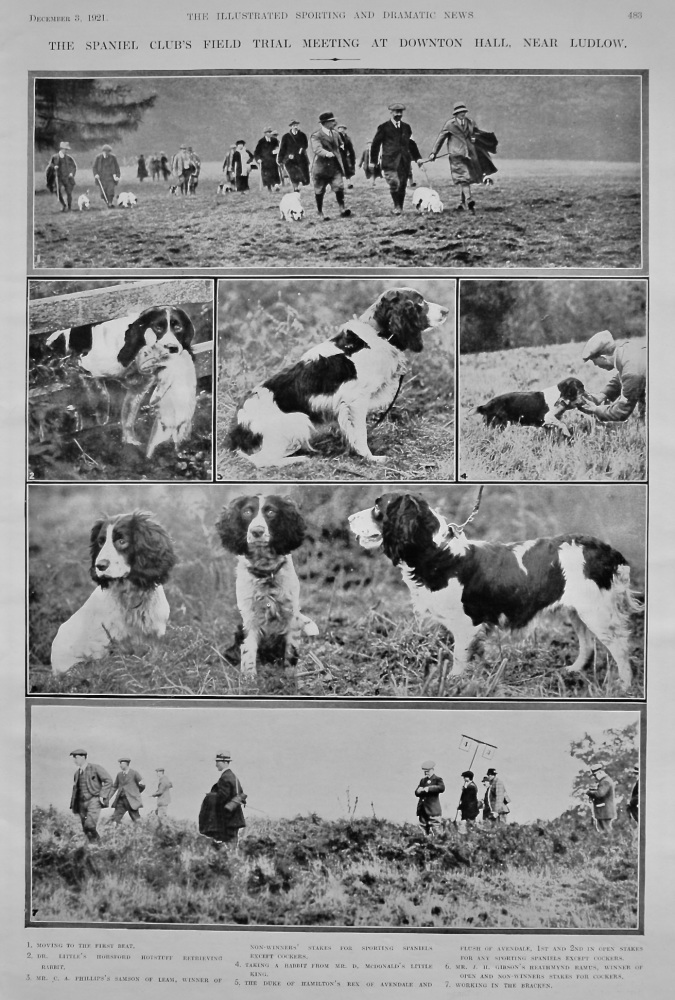 The Spaniel Club's Field Trial Meeting at Downton Hall, near Ludlow.  1921.