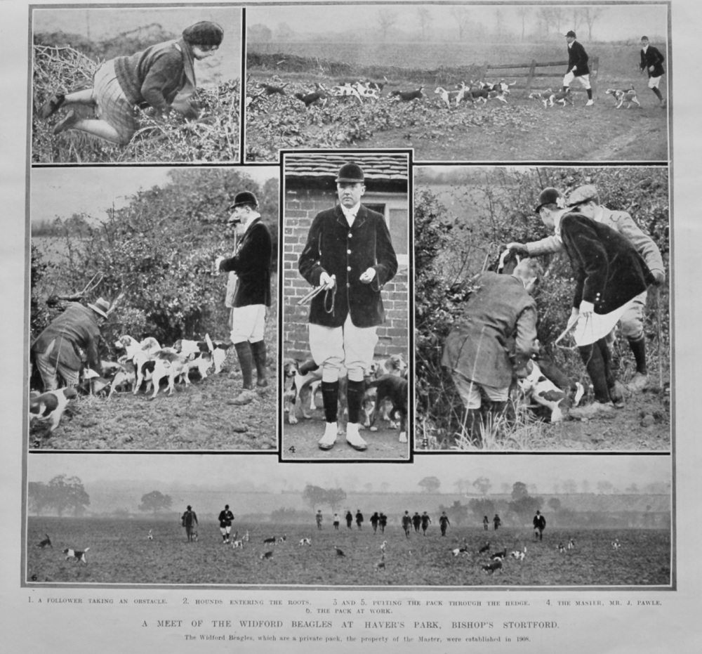 A Meet of the Widford Beagles at Haver's Park, Bishop's Stortford.  1921.
