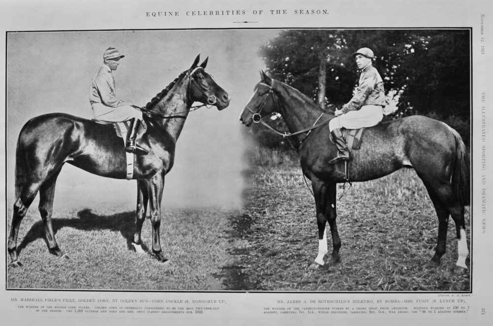 Equine Celebrities of the Season.  1921.