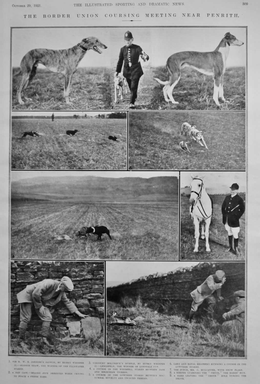 The Border Union Coursing Meeting near Penrith.  1921.