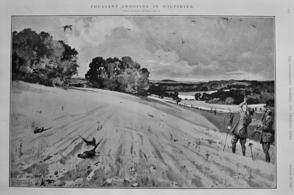 Pheasant Shooting in Wiltshire.  1921.