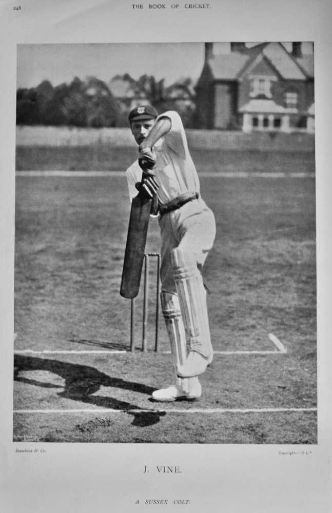 Joseph Vine. 1899.  (Cricketer).